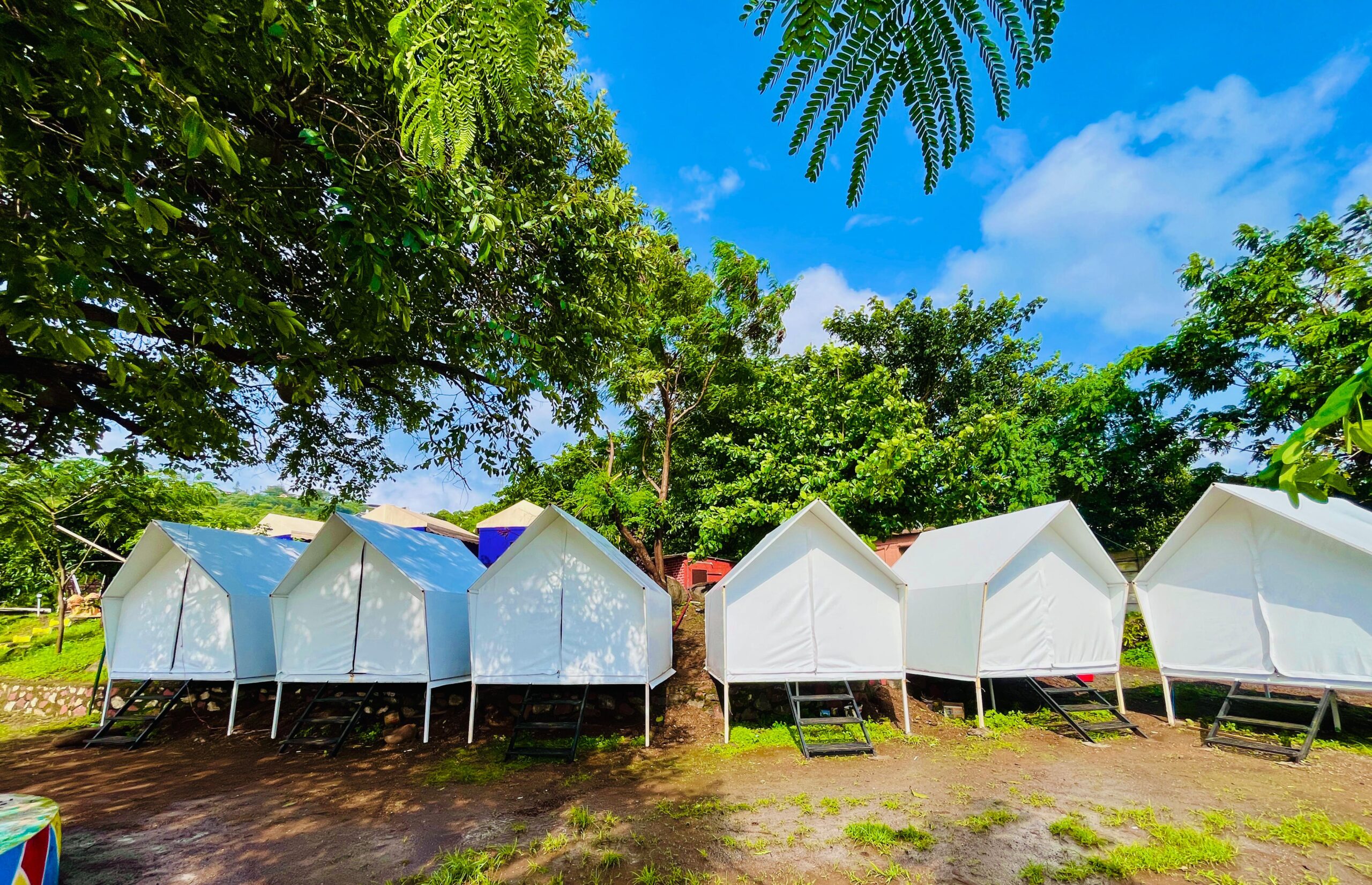 WhatsApp Image 2025-08-06 at 11.45.42 AM